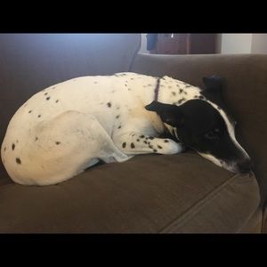 Meet your Posher, Becky